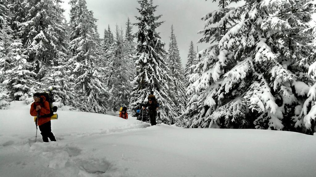 Cottage Ozerniy Lazeščyna Exteriér fotografie